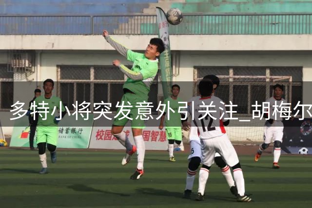 多特小将突发意外引关注 胡梅尔斯讲述惊魂一刻